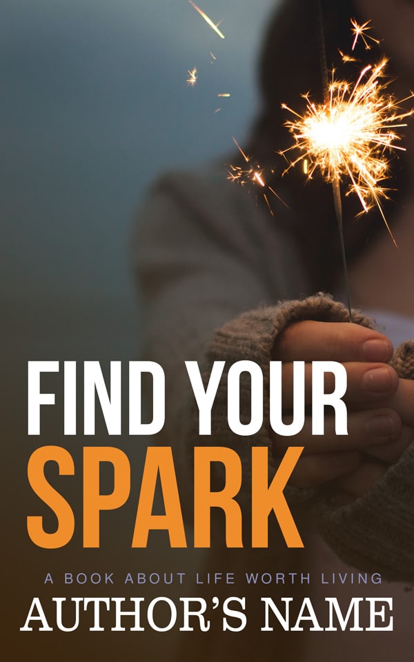 book cover mockup for NovelZone